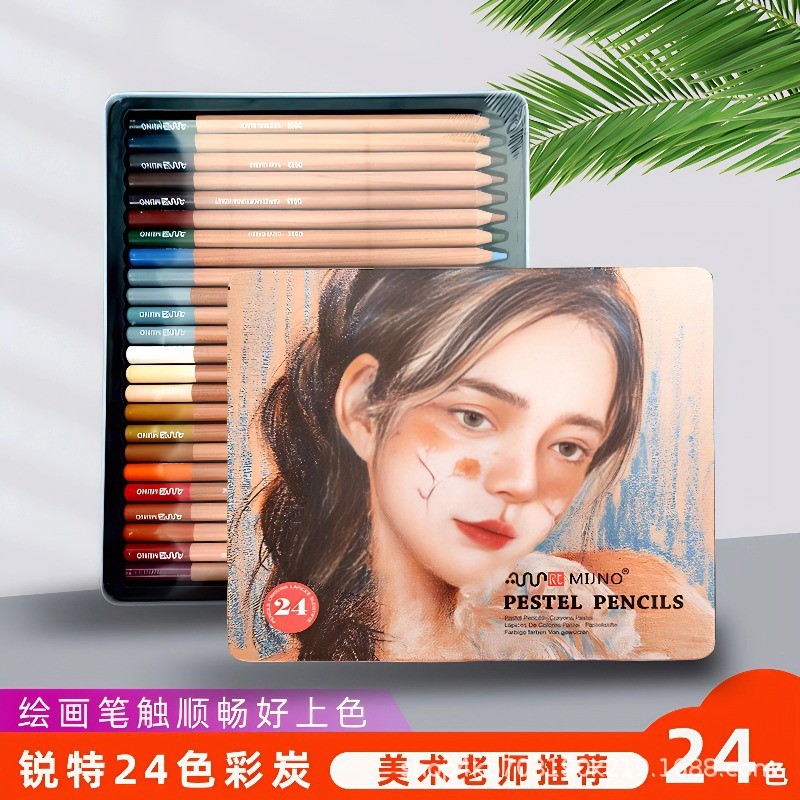 锐特彩色炭笔套装白色黑色棕色炭笔人像彩炭套装素描碳笔美术生