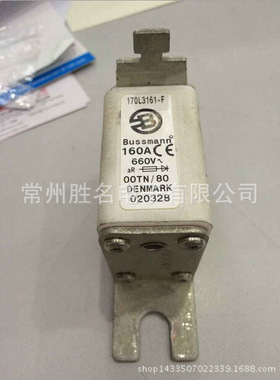 BUSSMANN快速熔断器 170L3158 80A 660V AR 保险丝 170L3158-F