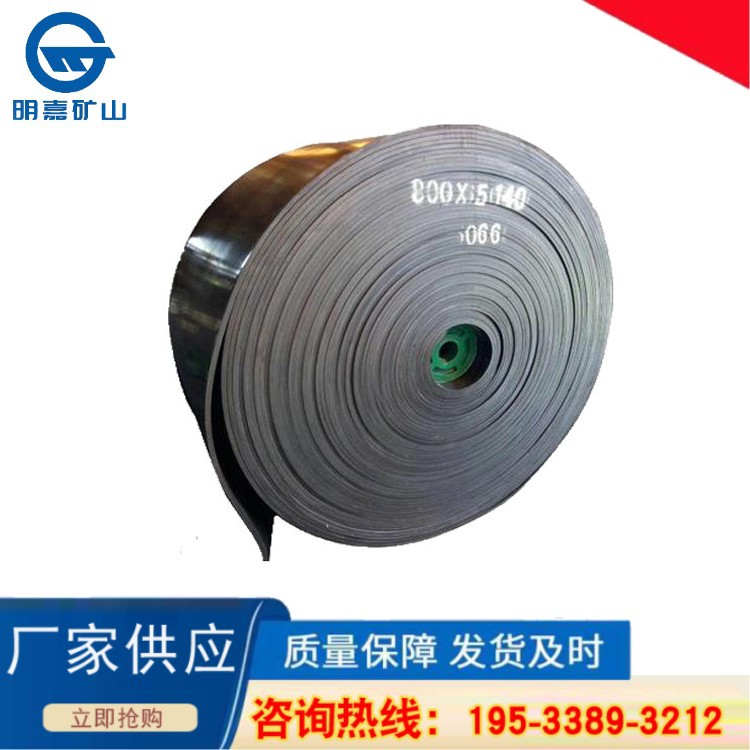 PVG1000S*800mm阻燃输送带 矿用阻燃输送带 PVG输送带厂家明嘉