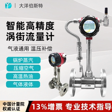 大洋智能涡街流量计水液体压缩空气蒸汽高精度管道气体仪表流量表