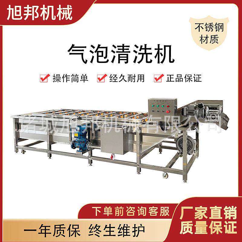 气泡果蔬清洗机多功能蔬菜清洗设备不锈钢蔬菜气泡翻浪洗净设备