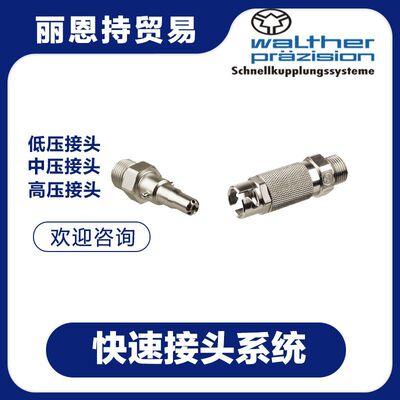 LP-019-2-WR533-21-2  walther 瓦尔特 联轴器