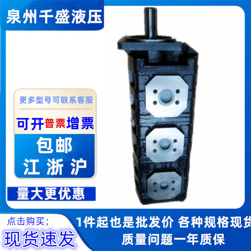 浦沅中联重科吊车油泵1010002381010002391010000526101000135