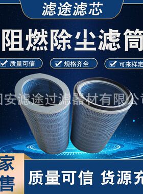滤途供应P191920椭圆形滤芯阻燃粉尘滤筒P190818 除尘滤芯滤筒