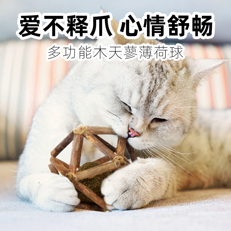 猫薄荷球木天蓼玩具自嗨解闷神器磨牙宠物小幼猫猫咪逗猫棒耐咬舔