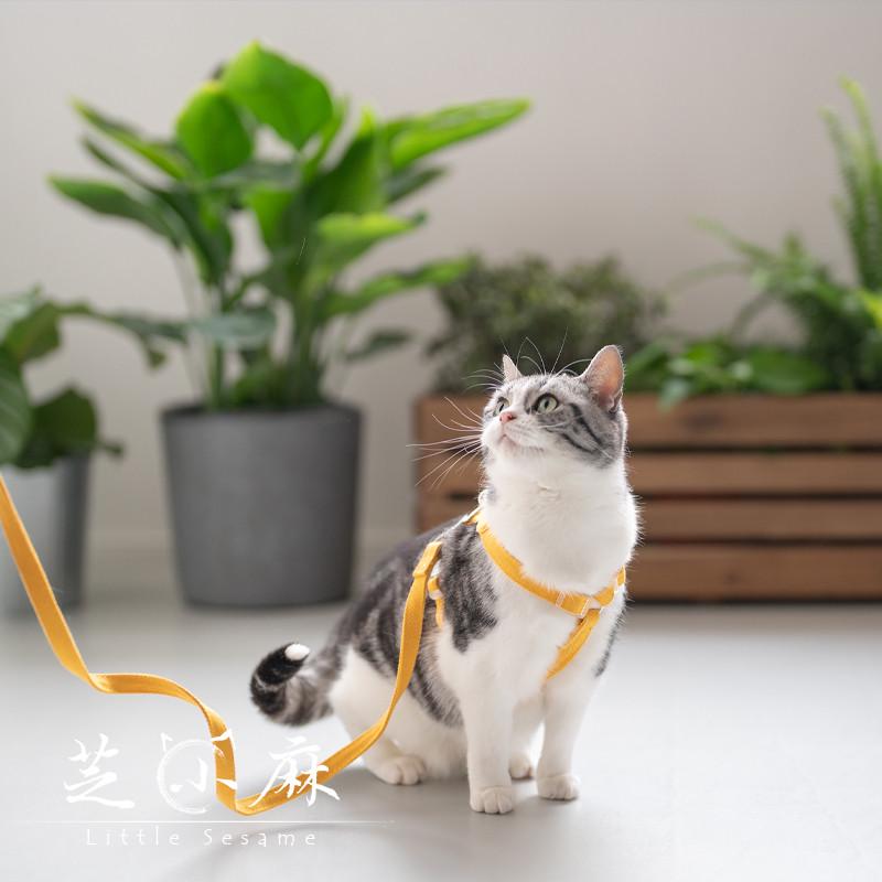芝小麻出街去猫咪狗狗牵引绳背心式胸背带可调节外出猫绳狗背带