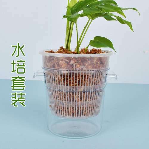 水培植物专用盆绿萝定植盆无土兰花塑料育苗盆大号龟背竹透明加厚