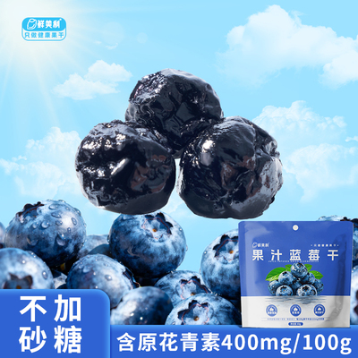 鲜美利果汁蓝莓干无添加水果干
