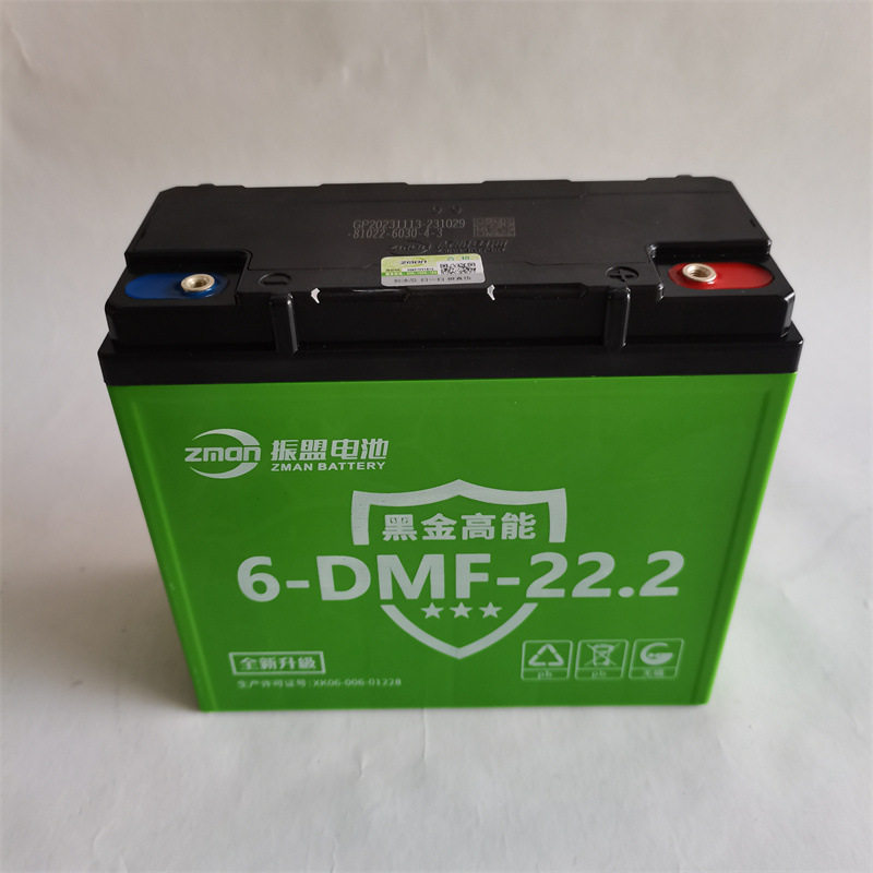 振盟黑金高能电动车用蓄电池48v60v72v 22.2ah量大从优