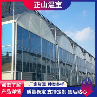 阳光板温室大棚休闲农业蔬菜观光园温室连栋智能采光阳光板温室
