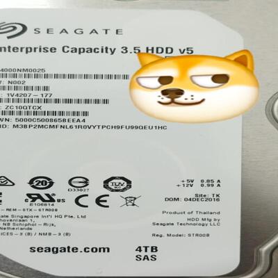 华为/HUAWEI 02311AYV 4T 7.2K SAT