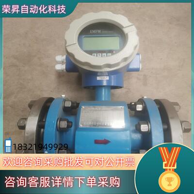 现货全新电磁计EMFM  BDLHD801130-1.6