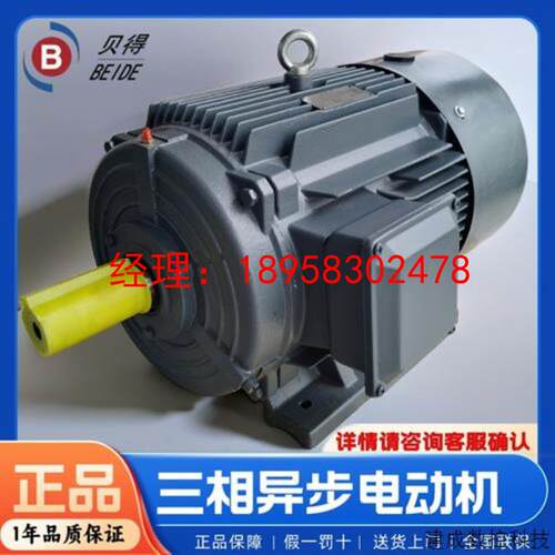 议价产品贝得电机1TL0003-2AC43-3AA5-Z18.5KW6P卧式异步交流电