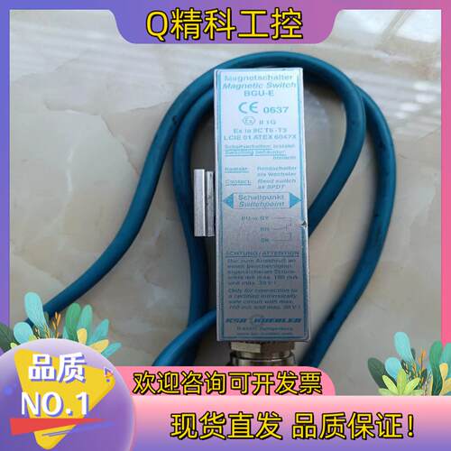 现货J111* Magnetschalter Magne