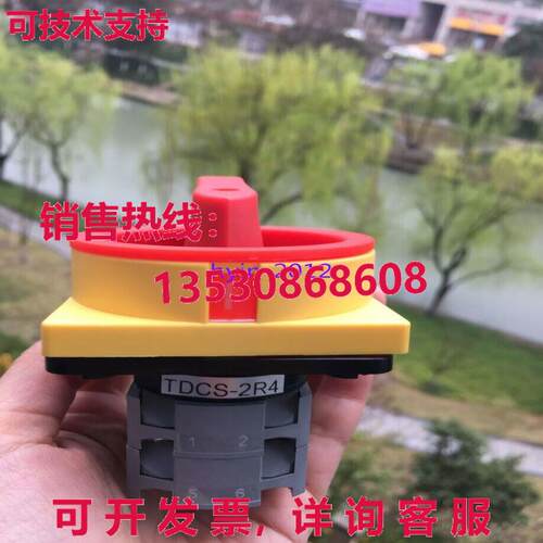 原装供应TEND电开关TDCS-2R4