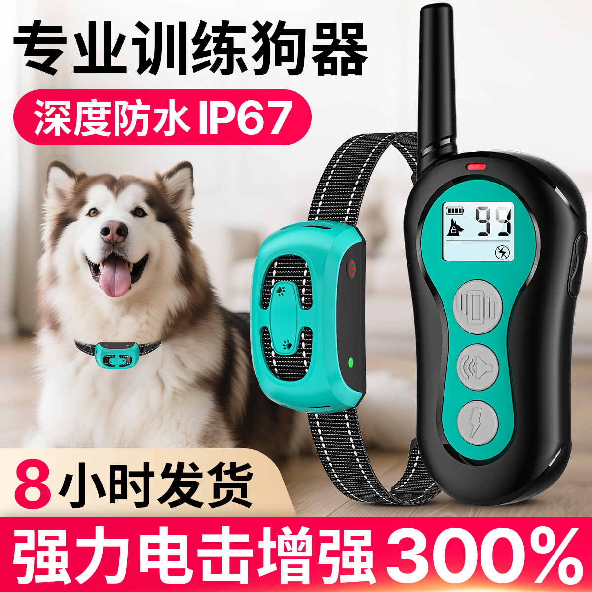 训犬师推荐|专业训犬器具