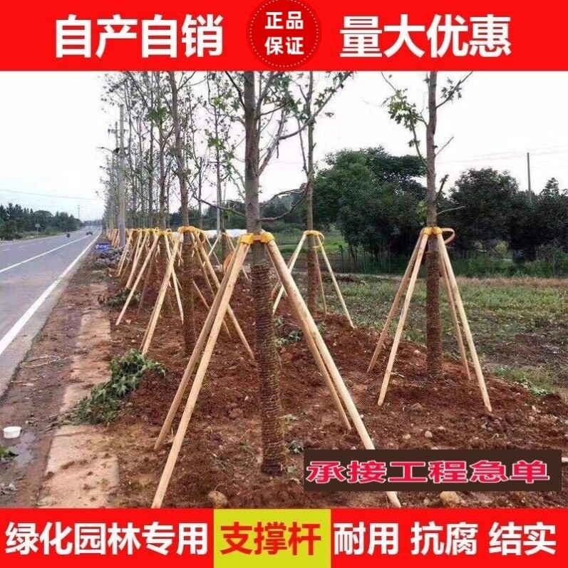 松木防风杆棍支架园林绿化树木杉木支撑杨木支撑架工程稳定固定器