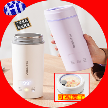 德国便携式车载电热水杯USB保温烧水杯宿舍烧水壶300W迷你炖煮杯