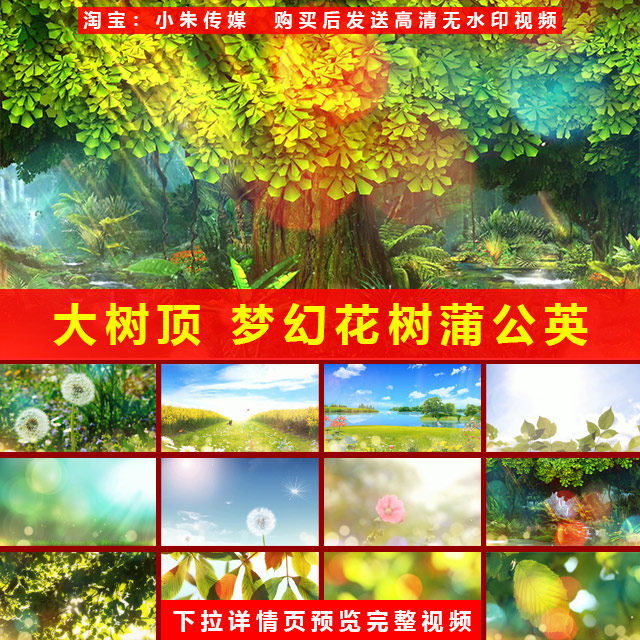大树顶 梦幻花树叶蒲公英儿童歌曲舞蹈情景剧表演高清LED大屏视频