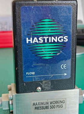 议价HFC-202TELEDYNE HASTING流量计N21000sccm