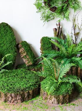 创意青苔树皮装饰摆件花器森系造景布置热带雨林场景搭配拍照道具