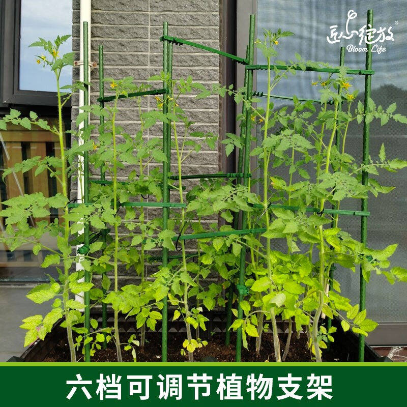 匠心绽放园艺支架四边形60cm爬藤架番茄黄瓜种菜架子植物攀爬架花怎么样,好用不?