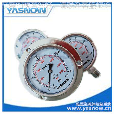 超0-600MPA高压力表400PA 电耐动泵压压力表M 不锈钢震高压压力表