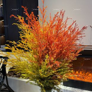 家居软装 心想事橙红鲜切花小众高级秋冬季 可做干花 千层金AAA级