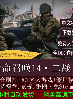 使命召唤单机版cod14二战pc电脑中文游戏免steam下载修改器存档