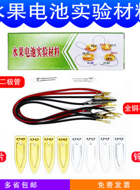 【金松】水果电池diy水果导电实验材料包可乐发电小发明儿童科学实验铜片锌片片极二极管发光灯泡幼儿园小学