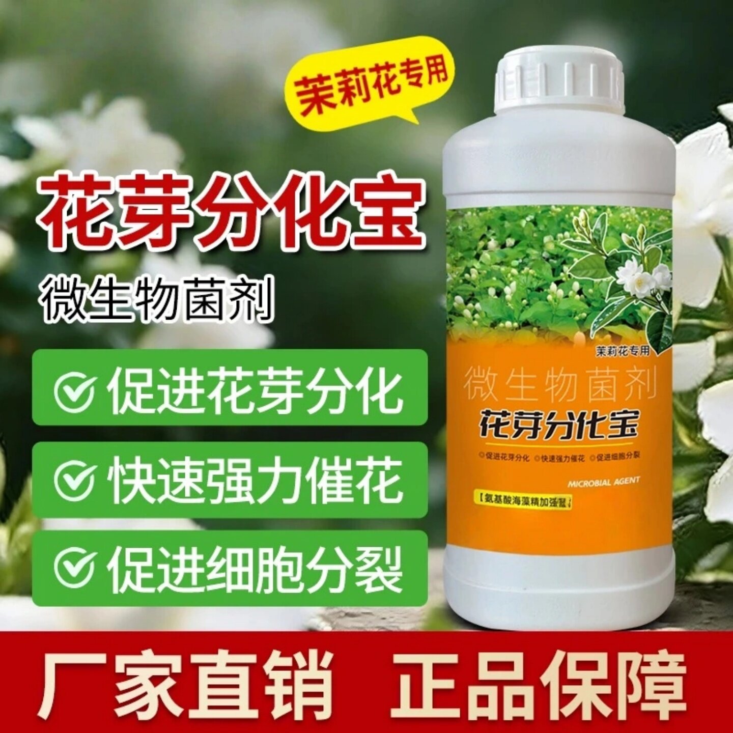 茉莉花专用花芽分化宝促进花芽分化增产增收催芽剂爆芽素鲁大师