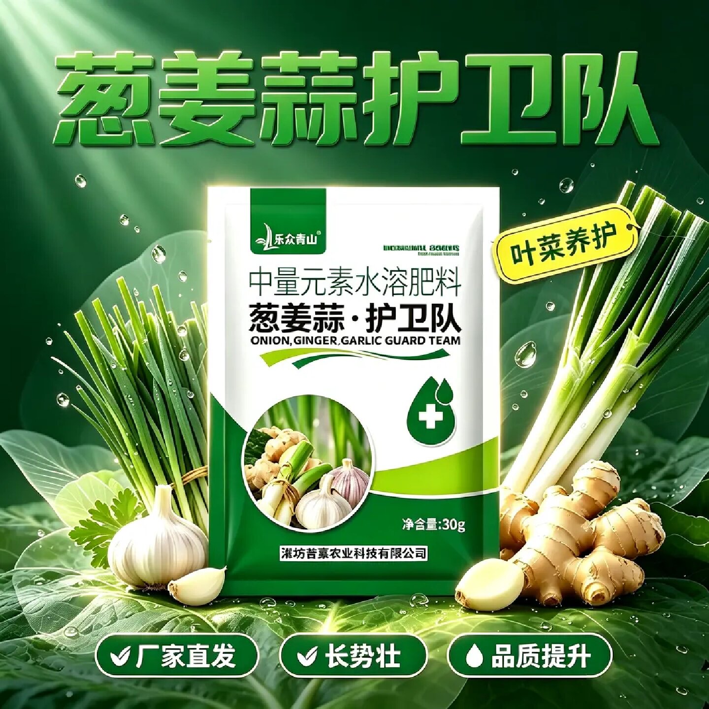 乐众青山葱姜蒜护卫队农用防治干尖黄叶促生长提产专用微生物菌剂