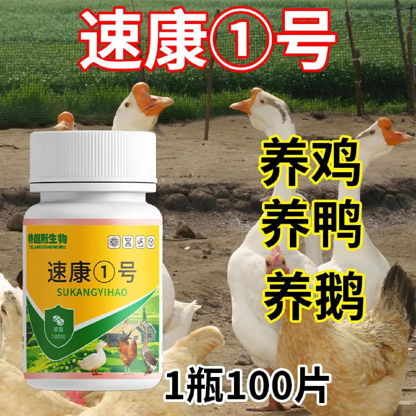 特朗斯生物速康1号鸡鸭鹅粪便不成型家禽养殖饲料添加剂养鸡专用