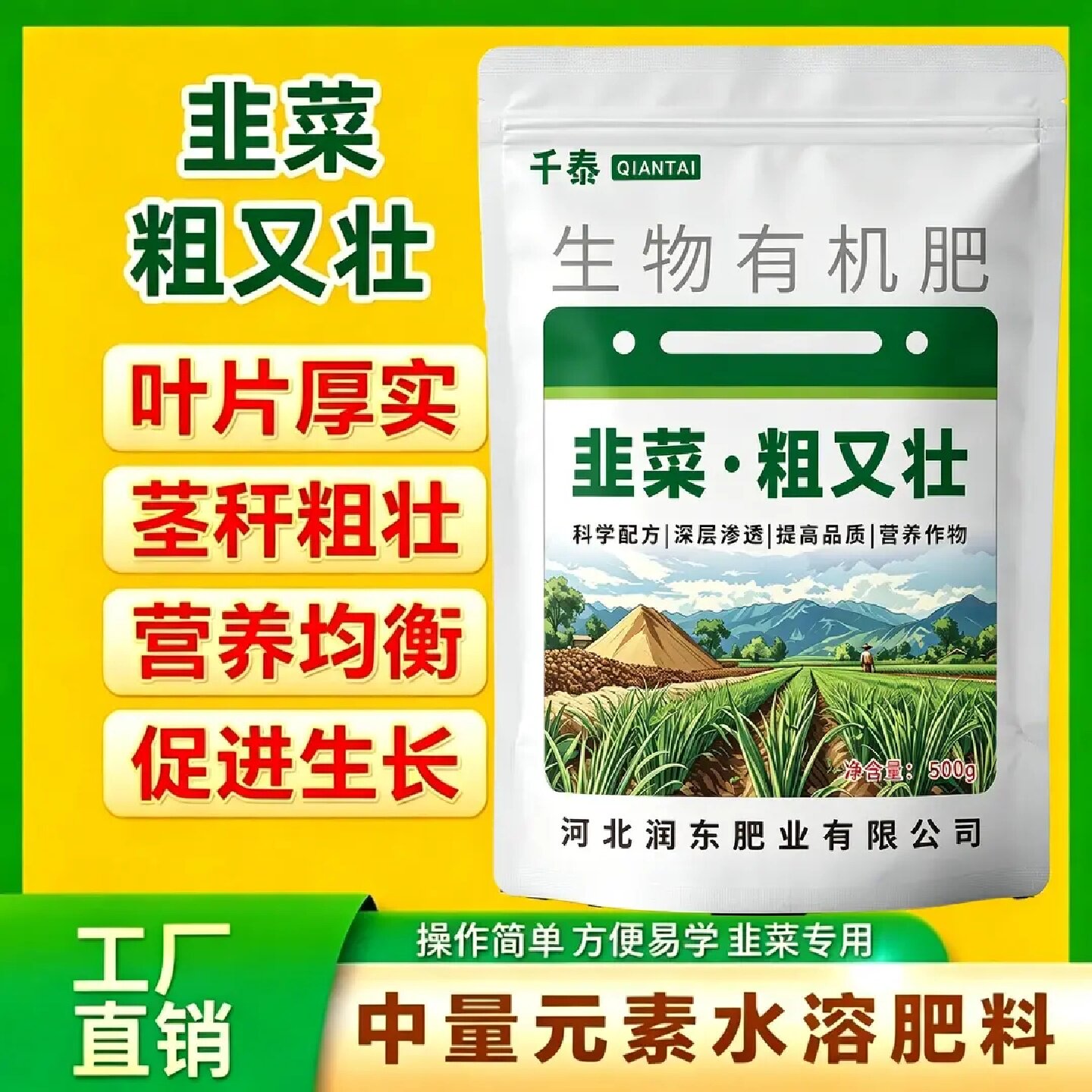 千泰韭菜粗又壮叶片厚实茎秆粗壮营养均衡提高促进生长生物有机肥