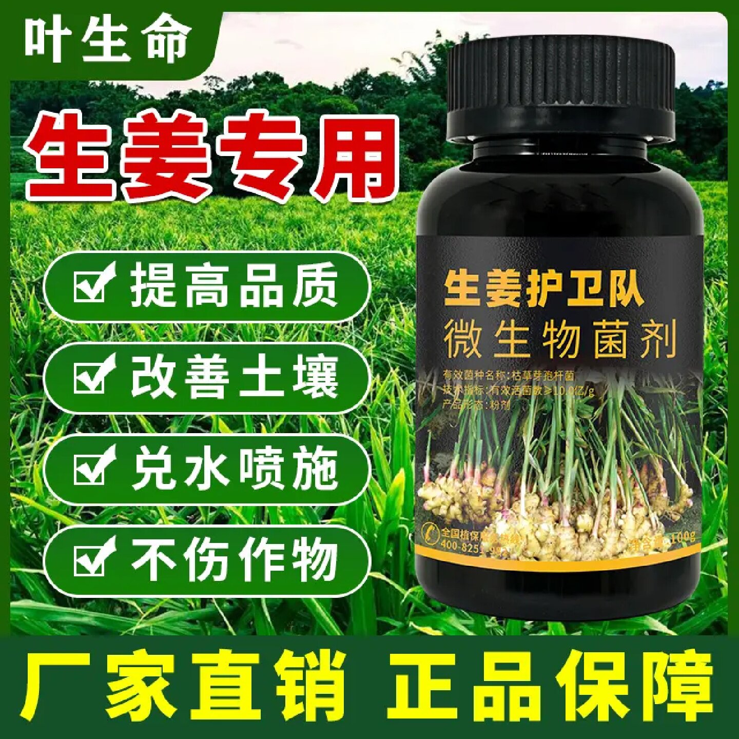 叶生命生姜护卫队生姜专用膨姜壮块调节土壤专用性叶面肥微生物肥