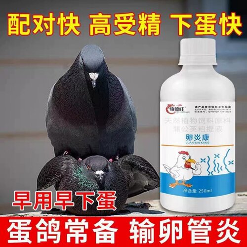 牧德旺卵炎康蛋鸽常备沙皮蛋软壳蛋改善蛋质催蛋下蛋快饲料添加剂