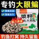 钓鳊鱼专用饵料野钓通杀专攻武昌鱼底窝料浓腥巨物颗粒野钓鱼食饵