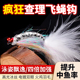 冰丝疯狂查理飞饵翘嘴鲈鱼鳜鱼红尾专杀飞蝇毛钩冰丝虾钩路亚仿