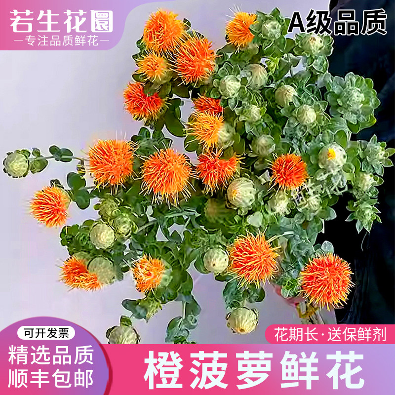 A级橙菠萝鲜花真花可做干花云南基地直发家用室内水培插花花期长