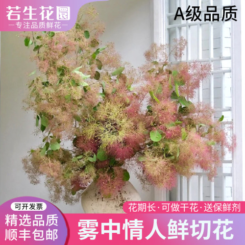 雾中情人鲜花真花婚庆活动装饰