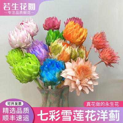 洋蓟雪莲花永生花法国百合干花