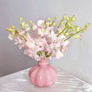 【精品】泰国进口洋兰千代兰鲜花真花家用办公室水培插花花期超长