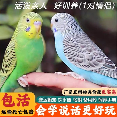 【厂家直销】物美价廉