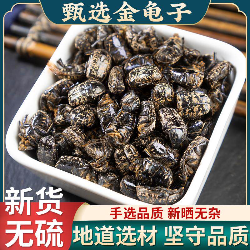 金龟子中药材 地狗子100g克包邮新货有七星瓢虫