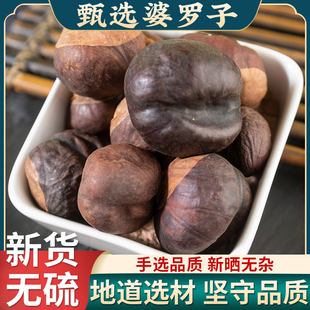 娑罗子中药材500克婆罗子片梭罗子 果 梭罗果 仙栗新货