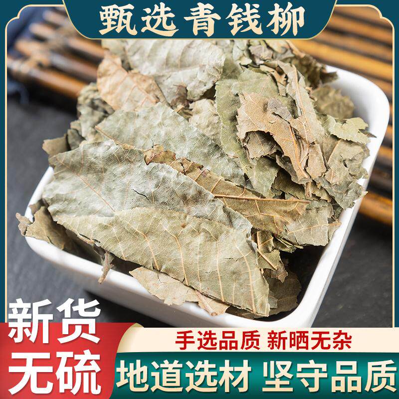 青钱柳叶茶叶500g金钱柳泡茶青钱柳中药材正品新货精选品质