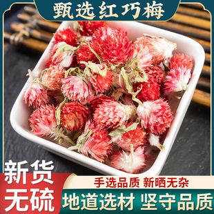 红巧梅红巧梅中药材红巧梅干花红巧梅干花泡茶泡水红巧梅干花茶