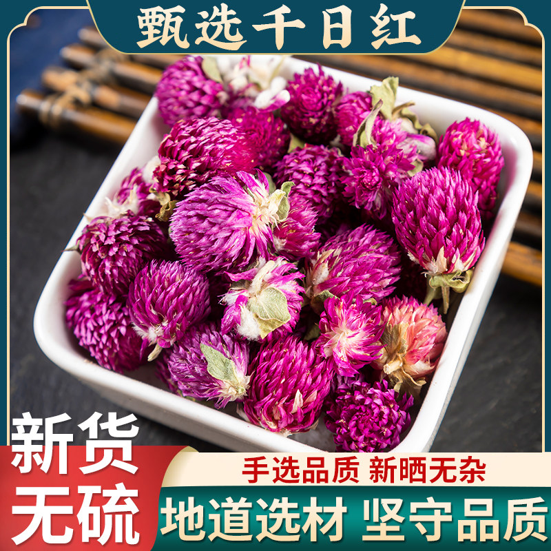 干花千日红花茶中药百日红千金红