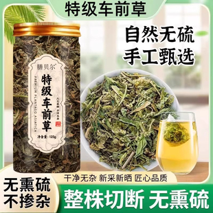 膳贝尔车前草泡茶泡水喝车前草干货袋泡茶车前草茶包代用茶