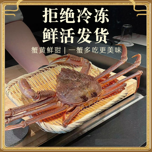 俄罗斯鲜活雪蟹 海鲜水产活发长脚蟹 包活板蟹 鳕蟹 顺丰特快